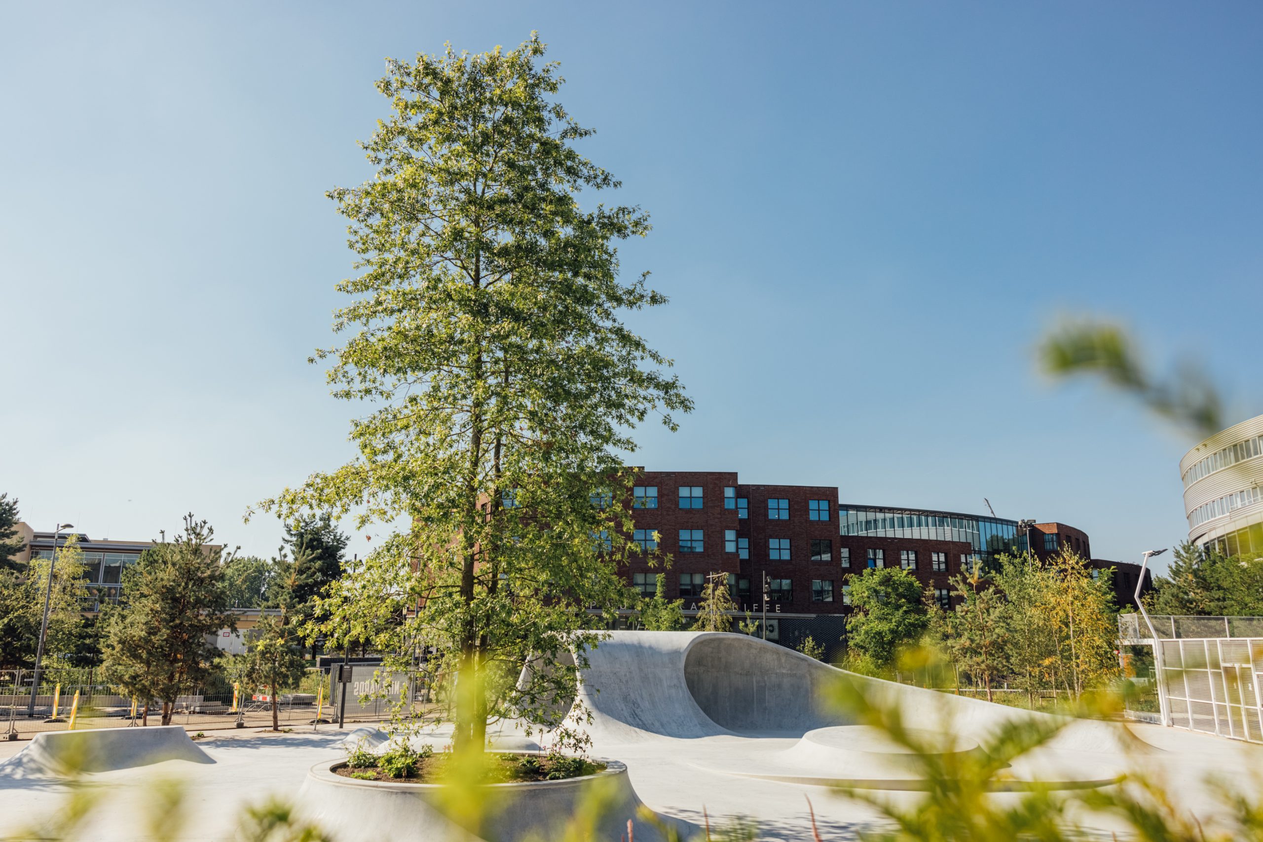 nine_yards_skatepark-co_nike-hq-hilversum-skatepark-landscape_web-36