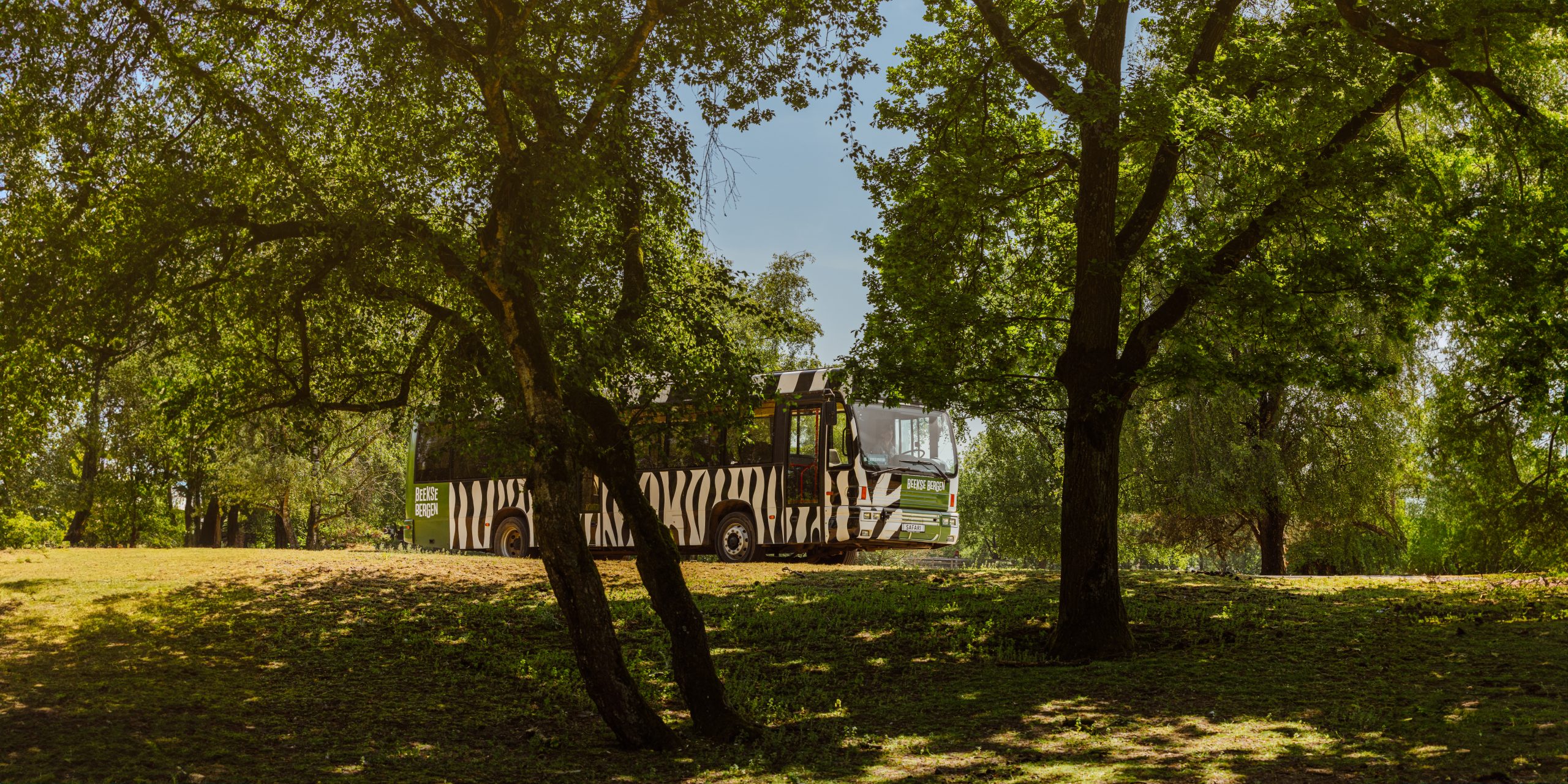 Beekse_Bergen-zomercampagne-bussafari_01